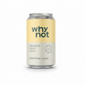 Organic Fruit Soda - Why Not