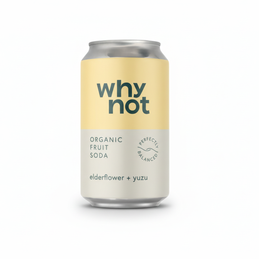 Organic Fruit Soda - Why Not