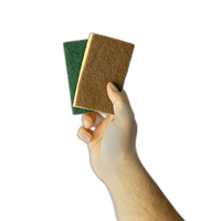 Dual-Sided Dish Washing Sponge